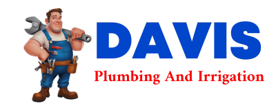 Trusted plumber in DIX